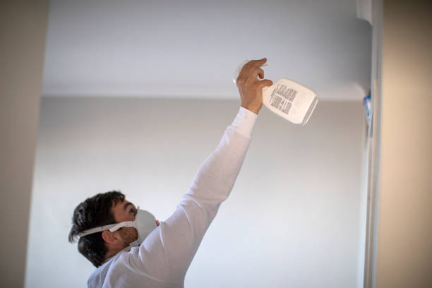 Best Residential Mold Removal  in Forsyth, GA