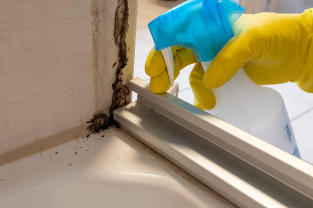 Best Home Mold Removal  in Forsyth, GA