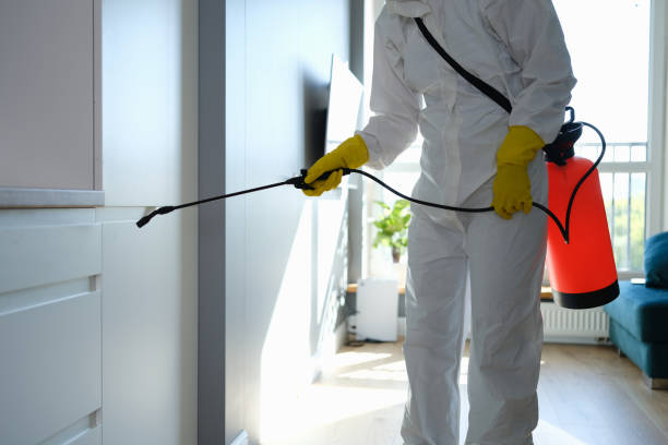 Best Crawl Space Mold Removal  in Forsyth, GA