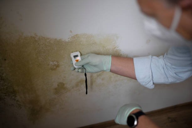 Best Residential Mold Removal  in Forsyth, GA