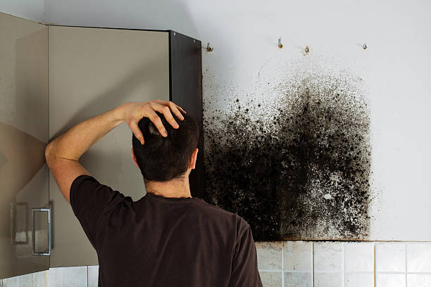 Professional Mold Removal in Forsyth, GA